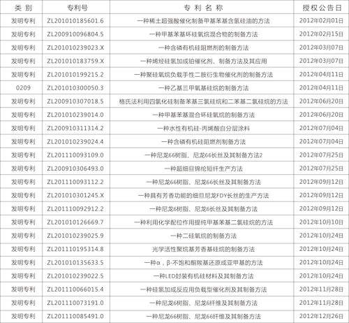 专利2